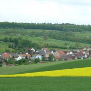 Biotopkartierung Landkreis Main-Spessart